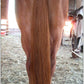 Horse Tail Extensions with Braided Horsehair Loop, Blunt Cut Bottom, 34-36 inches Long and 1 lb Weight (Light Sorrel)