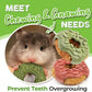 TEEWY 3PCS Guinea Pig Toys, Prevent Teeth Overgrowth, Natural Vegetables and Timothy Grass, Hamster Chew Toys, Guinea Pig Chew Toys, Chinchilla Toys, Donut-Shaped