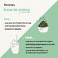 Teapigs Peppermint Leaves Tea Bags Made with Whole Leaves, Caffeine-Free, Natural Ingredients (1 Pack of 50 Teabags)