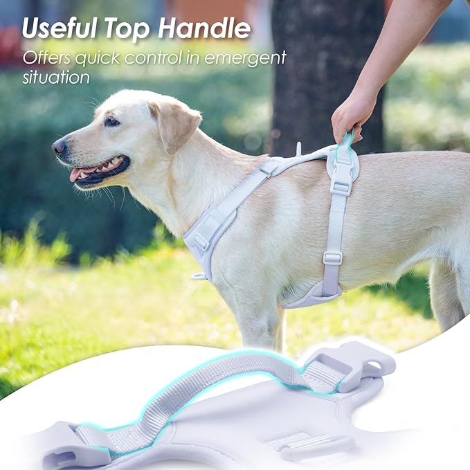 No Pull Dog Harness, Puppy Vest with Front Clip for Small Medium Large Sized Dog(Light Blue,XL)