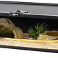 REPTIZOO Small Reptile Tank 20" x 12" x 6" Glass Reptile Terrarium with Top Feeding Habitat for Snake Spider