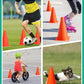 GHB Soccer Cones 7" 9" of 12 24 Pack Disc Soccer Sport Cones Training Field Marker Agility Cones for Basketball, Coaching, Practice Equipment Includes Drills Guide