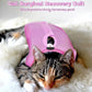 Nuanchu 3 Pieces Cat Recovery Suit Kitten Recovery Suit E-Collar Alternative for Cats and Dogs Abdominal Skin Anti Licking Pajama Clothes Sets(Simple Pattern,Small)