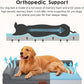 Orthopedic Dog Beds Large Sized Dog, 3 Inch Memory Foam Pet Bed for Medium and Large Dogs, Washable Removable Cover, Nonskid Bottom, Waterproof, 44x32 Inches XXL Dark Grey