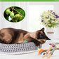 TINDTOP Catnip Chew Toys for Cats, 4 Pack Natural Silvervine Sticks for Kittens Teeth Cleaning, Matatabi Dental Care, Increase Appetite, Aggressive Chewers Cat Dental Toy