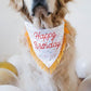 ZippyPaws Dog Birthday Gift Bandana & Bone - Cute Accessories for Girl & Boy Dogs, Holiday Set, Fits Small, Medium, & Large Dogs, Stuffed Plush Toy, Machine Washable Handkerchief - One Size Fits Most