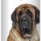 The Blissful Dog Mastiff Nose Butter for Dry, Cracked Skin, Lick-Safe Dog Nose Balm with Moisturizing Shea Butter, Almond, Olive, and Essential Oils, Pet Supplies, Uncented, 0.50 oz.