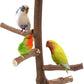 Bird Perch Stand Toy, Natural Grapevine Wood Parrot Perch Bird Cage Branch Accessories for Parakeets Cockatiels Conures Macaws Finches Love Birds(9.8" Length)