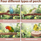 7-Piece Bird Perch Set: 3 Grapevine Paw Grinding Forks, 2 Wood Stands & 2 Hammocks - Cage Accessories for Parakeets, Cockatiels, Conures, Budgies