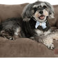 Hollypet Fluffy Plush Pet Sofa Soft Calming Pet Sofa Beds for Medium Small Cats and Dogs, Dark Brown