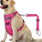 Dog Seat Belt Harness for Car, Dog Car Harness Adjustable Mesh Breathable & Dog Seatbelt Safety Tether with Elastic Bungee for Small Medium Large Pets(Rose, XL)