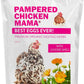Pampered Chicken Mama Best Eggs Ever! Nesting Herbs for Chickens (16 Ounce/1 Pound) for Chicken Nesting Boxes Calcium Supplement for Chickens | Chicken Feed Supplies, Hen Treats for Coops (1 Bag)