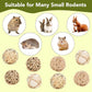 8 Pack Small Pet Chew Toys - 7cm Natural Woven Balls for Rabbits, Guinea Pigs, Hamsters (2 Seagrass, 2 Rattan, 2 Corn Husk, 2 Seaweed Rope) - Safe Dental Grinding Toys