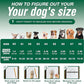 Dog Shoes for Large Dogs, Anti-Slip Dog Boots for Winter Snow, Hot Pavement, Dog Booties & Paw Protectors Blue Size 6