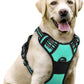rabbitgoo Dog Harness No Pull with 2 Leash Clips, Adjustable Soft Padded, Reflective Oxford No Choke Pet Vest with Easy Control Handle for Large Dogs, Turquoise, L