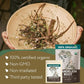 Super Value Pack 10 LB - Organic Dandelion Root Tea - Liver, Digestion, Gut Health - Herbal Coffee Alternative