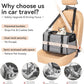 Petsfit Pet Carrier for Large Cats, Cat Carrier for Medium Cats and Puppy up to 20lbs, 4-Sided Breathable Mesh, Escape Proof and Locking Zipper, Sturdy Structure,Grey