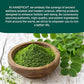 HANDPICK USDA Organic Moringa Powder (397g/14oz) Pure Moringa Oleifera Leaf Powder | Authentic Indian Origin | Gluten Free, Non-GMO | Perfect for Smoothies, Drinks, Tea & Recipes
