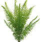 JIHAQUA Fake Fern Plants, Reptile Plastic Terrarium Decor, Reptiles Amphibians Tank Accessories for Crested Gecko Leopard Lizard Chameleon (Fern-L)