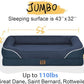 Washable Orthopedic Large Dog Bed - Removable Waterproof Cover with Bolster Machine Washable Extra Large Dog Bed Foam Support XL Large Big Pet Dogs Beds