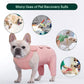 Kuoser Dog Recovery Suit for Rear Legs, Thigh Wound Protective Sleeve for Dogs, Dog Recovery Sleeve for Female Male Dogs, Dog Onesie After Surgery Pet Surgical Suit for Spay Neuter, Pink M