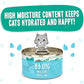 Weruva B.F.F. Play - Best Feline Friend Paté Lovers, Aw Yeah!, Turkey & Tuna Tweet Me! with Turkey & Tuna, 2.8oz Can (Pack of 12)
