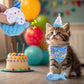 BINGPET Cat Birthday Catnip Toys for Indoor Cats,Cat Birthday Hat,Bandana and Cat Birthday Cake Interactive Plush Kitten Chew Toys,Cute Fish,Balloon Toys with Crinkle Paper and Catnip Inside(Sky Blue)