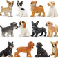 Toymany 12PCS Mini Dog Figurines Toy Set, Realistic Detailed Plastic Puppy Figures Playset, Hand Painted Dogs Animals Toy, Cake Toppers Easter Eggs Christmas Birthday Gift for Kids Toddlers