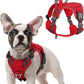 rabbitgoo Tactical Dog Harness for Small Dogs, No Pull Military Service Vest with Handle & Molle, Easy Control for Training Walking, Adjustable Reflective Straps, Red, S