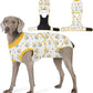 Recovery Suit for Dogs After Surgery, Professional Dog Surgical Suit for Female Spay, Male Neuter, E-Collar & Cone Alternative Dog Onesie for Abdominal Wounds Skin Disease, Yellow, S