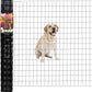 Black PVC Coated Welded Wire Fence 48 Inch x 25 Foot, 2 Inch x 3 Inch 16GA, Garden Border Fencing Roll Vinyl Coating Metal Wire Mesh for Yard Vegetable Plant Protection Poultry Netting