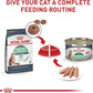 Royal Canin Feline Care Nutrition Digestive Care Loaf in Sauce Canned Cat Food, 5.1 oz can (24-count)