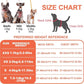 Puppytie No Pull Dog Harness with Multifunction Dog Leash,Soft Adjustable No Choke Escape Proof Pet Harness Vest for Medium Dogs or Large Dogs,Orange,M