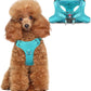 Dog Harness Step in Dog Vest Harness, Reflective Adjustable Puppy No Pull Harness Breathable Soft for Small and Medium Dogs Cats, Ocean Blue, XS