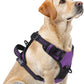 PUPTECK No Pull Dog Harness for Large, Adjustable Reflective Dog Harness with Handle Easy Control, Comfortable Soft Padded Pet Vest Harness for Large Dogs, Solid Purple L