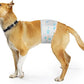Male Dog Wrap, Disposable Dog Diapers, 40 Count, L (Waist 23.6”-31.5”), Wetness Indicator, Ultra Protection, Leak Proof, Super Absorbent, Soft