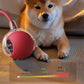 Interactive Cat Toy Ball for Indoor Cats - 3-Speed Smart Rolling Ball with Flashing Lights, USB Rechargeable Automatic Motion Kitten Toys for Bored Adult Cats & Playful Kittens