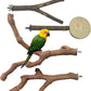 Allazone 4 PCS Natural Wood Bird Perch Stand, Bird Parrot Perch Stand Set, Wooden Parrot Perch Stand Perch Platform Cage Accessories for Parrotlets Cockatiels Budgies Parakeets
