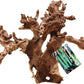 Natural Driftwood for Aquarium 12"-16" Large Aquarium Coral Wood Decor | Single Piece for Fish Tank Landscaping, Reptile Terrarium Climbing Branch, Freshwater Aquatic Wood Aquascaping