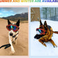 Winproof Adjustable Strap Dog Sunglasses, UV Protection, Soft Goggles (Red Frame)