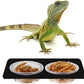EBOOT 500 Pcs Gecko Food and Water Cups Small Plastic Feeder Cups Reptiles Accessories Reptile Water Bowl Gecko Food Cups Reptile Feeding Bowls for Gecko Lizards Tarantula and Other Small Pets (0.5oz)