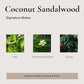 Coconut Sandalwood Car Air Freshener - 4 Pack