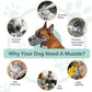 LUCKYPAW Dog Muzzle for Large Medium Small Dogs, Patented Mesh Muzzle to Prevent Biting Chewing Eating, Soft Mouth Guard with Front Opening Design for Drinking Panting(Grey, XL)