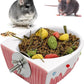 Chinchilla Food Bowl Ceramic Guinea Pig Cage Feeder Hanging Bunny Food Dish Small Animal Feeding Bowls for Syrian Hamster Ferret Gerbils (Pink)