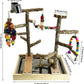 Tfwadmx Bird Playground Natural Wood Bird Play Stands Parrot Perch Stand with Removable Tray Climb Ladders Swing Chewing Toys for Lovebirds Cockatiels Budgies