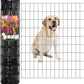 Black PVC Coated Welded Wire Fence 36 Inch x 50 Foot, 2 Inch x 4 Inch 15GA, Garden Border Fencing Roll Vinyl Coating Metal Wire Mesh Hardware Cloth for Yard Vegetable Plant Protection