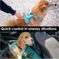 PHOEPET No Pull Dog Harness, Unique Colors Reflective Adjustable Dog Vest, with Soft Training Handle Metal Clips for Small Medium Large Dogs (Mint Green Base & Grey Straps,S)