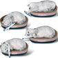 6 PCS Cat Fish Toy Soft and Durable,Cat nip Toy with Catnip Inside, Kicker Toys for Indoor Kitten Exercise,Kitty Teething Chew Toy (6 Sauries)