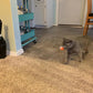 15-Pack Cat Toy Balls for Indoor Cats and Kittens (1.5'' - 2.2'', Cat Toys Mega Set)