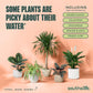 Tap Water Conditioner for Houseplants & Hydroponics - Remove Chlorine, Chloramines & Heavy Metals, Buffers pH - 8 Oz